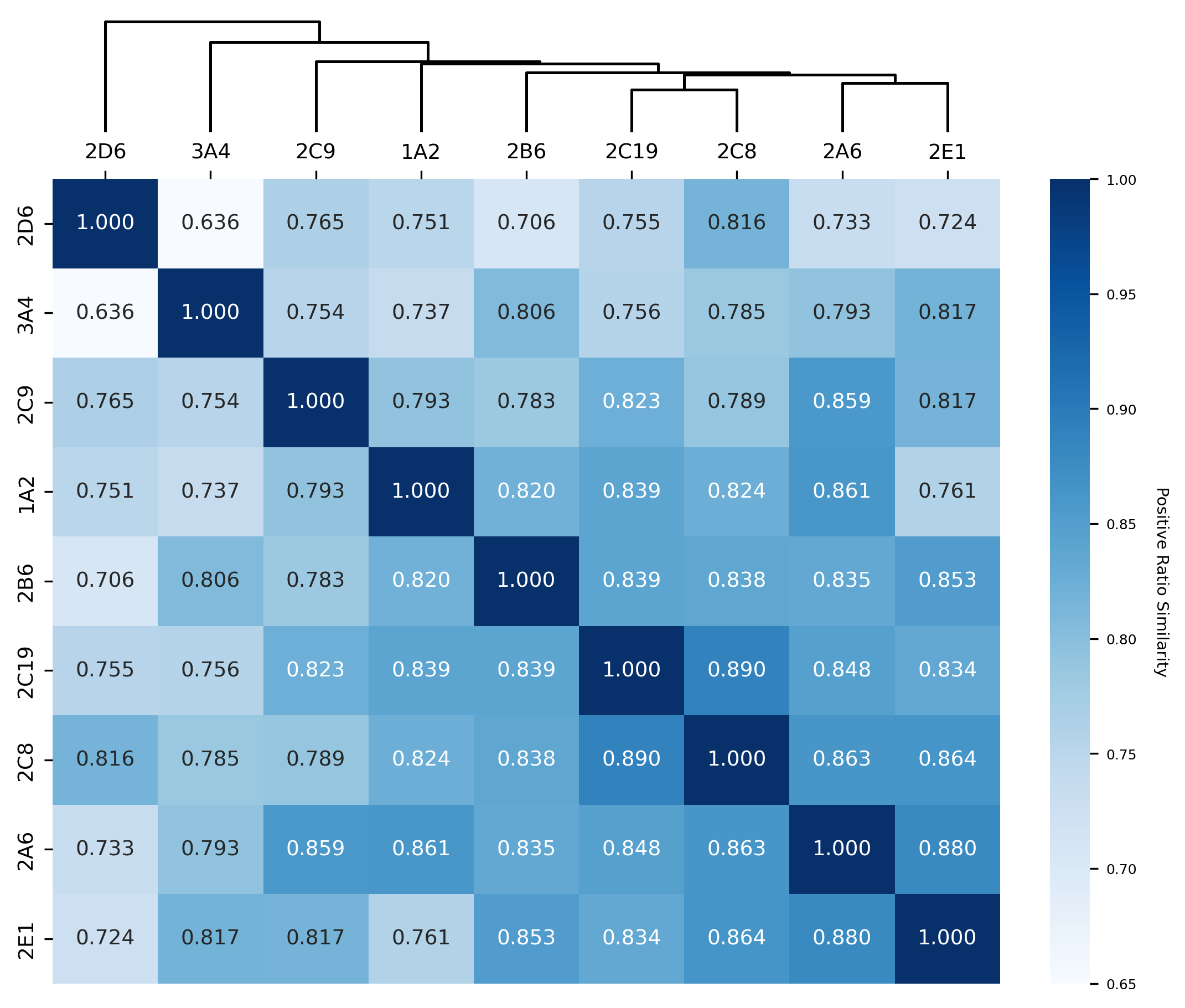 Heatmap displaying pairwise SOM pattern similarity values predicted by ATTNSOM across CYP isoforms, with a hierarchical clustering dendrogram above the matrix grouping isoforms based on similarity.