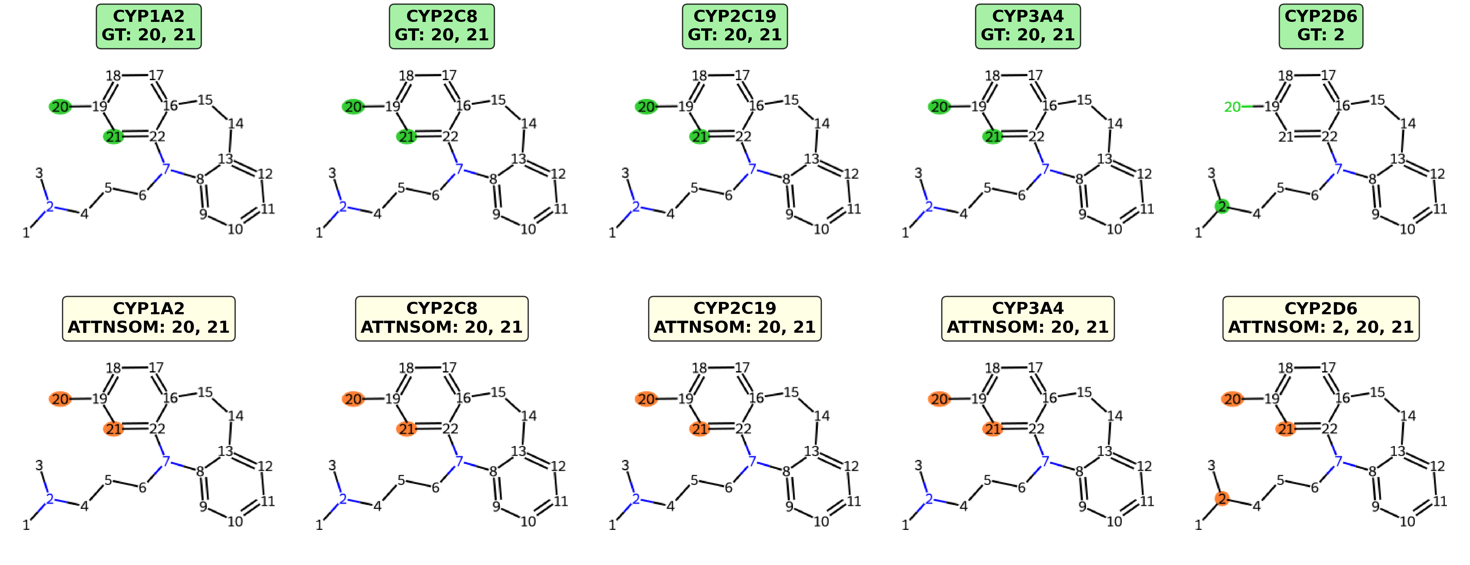 The panels display molecular structures highlighting ground-truth and predicted atom-level sites of metabolism for the same molecule across five CYP isoforms.