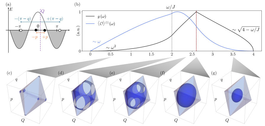 The density of states <span class="katex-eq" data-katex-display="false">g(\omega)</span> and its first Fourier component <span class="katex-eq" data-katex-display="false">\langle\mathcal{O}\rangle^{(1)}(\omega)</span> exhibit non-differentiability at <span class="katex-eq" data-katex-display="false">\omega/J=2</span> and a cusp at <span class="katex-eq" data-katex-display="false">\omega/J=3\sqrt{3}/2</span>, which correlate with the emergence of surface punctures as determined by the parameter space <span class="katex-eq" data-katex-display="false">(Q, p, q)</span> and energy matching conditions.