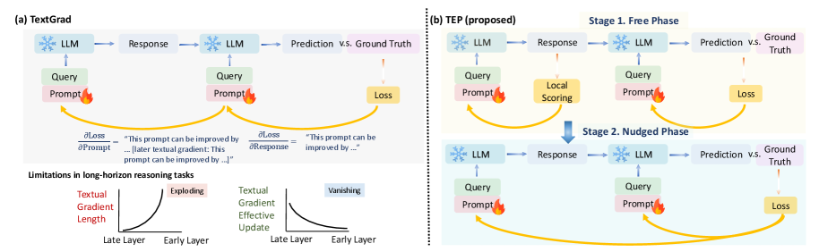 Textual Equilibrium Propagation addresses the challenges of gradient instability in large language model workflows by optimizing each agent locally until equilibrium is reached, then applying bounded prompt modifications guided by task objectives-a process that circumvents the exploding and vanishing gradients inherent in global textual backpropagation schemes, as opposed to traditional Stochastic Computation Graphs where feedback propagates through deep networks.