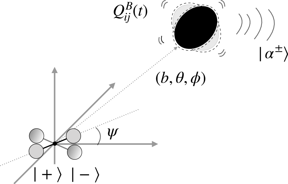 A study explores how gravitational waves emitted by a rotating black hole can reveal the superposition of orientations in a binary mass system-specifically, the systemâs ability to exist as coherent states <span class="katex-eq" data-katex-display="false">|α^{\pm}\rangle</span>-by detecting interference when the wavesâ coherence is disrupted (<span class="katex-eq" data-katex-display="false">|âšÎ±^{+}|\alpha^{-}\rangle|\approx 0</span>), thus providing a pathway to determine the systemâs initial quantum state.