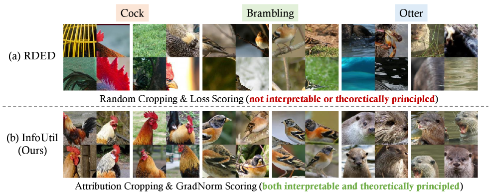 В отличие от предыдущих методов, основанных на случайном выборе, InfoUtil обеспечивает интерпретируемую и теоретически обоснованную визуализацию, синтезируя изображения, которые точнее отражают семантически значимые области, выделяя основной контент и исключая незначительные детали фона.