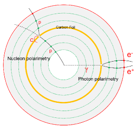 Данное исследование посвящено фотонам, возникающим в первичной вершине, и принципу работы детектора H-NS, основанного на регистрации <span class="katex-eq" data-katex-display="false"> \gamma-\gamma </span>-конверсии пары <span class="katex-eq" data-katex-display="false"> e^{+}+e^{-} </span> на углеродном слое.