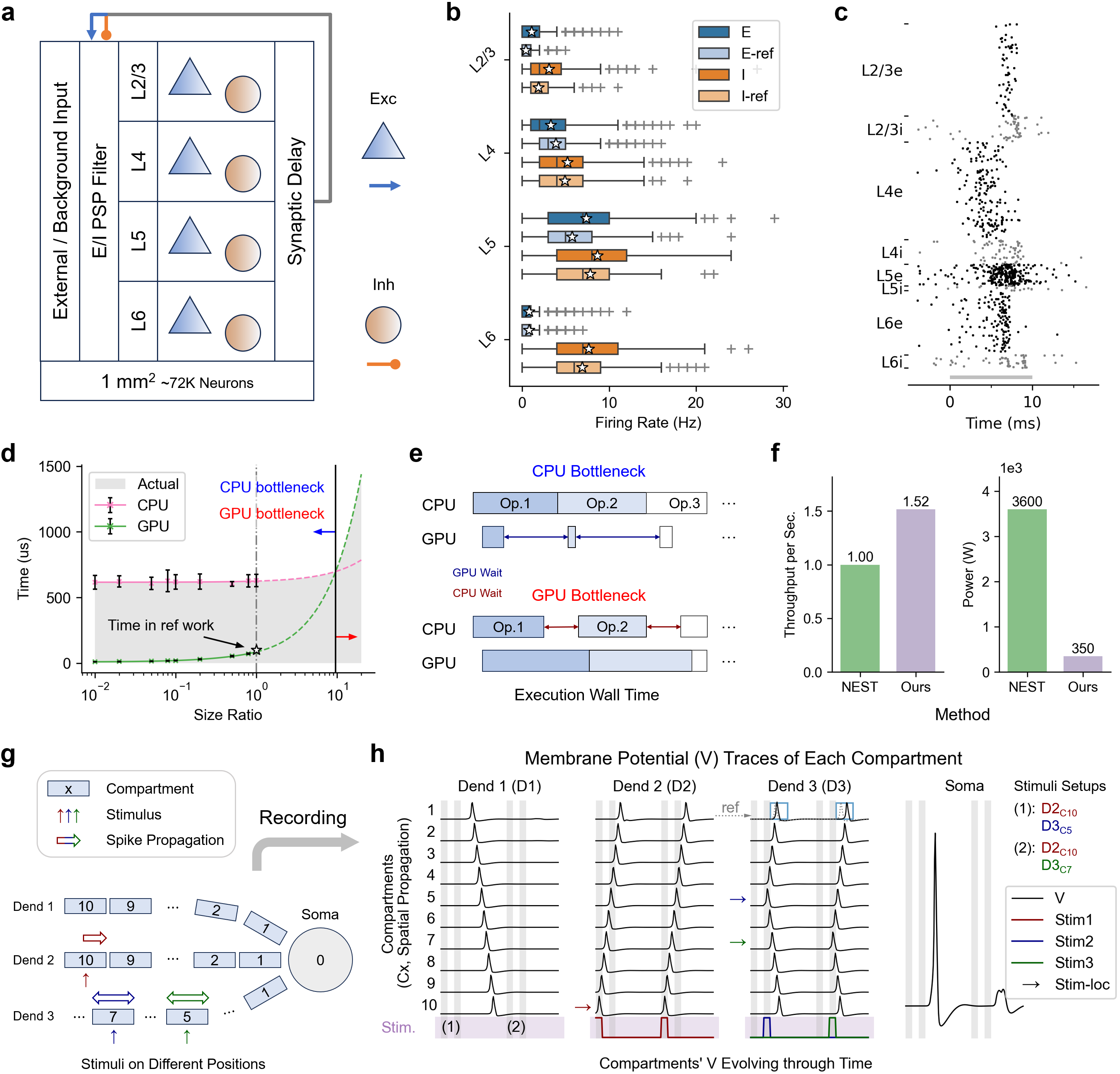 Модель BrainFuse обеспечивает масштабируемость симуляций коры головного мозга на разных уровнях детализации, от сетевых взаимодействий до морфологии отдельных нейронов, демонстрируя преимущества в скорости, энергоэффективности и пропускной способности по сравнению с традиционными подходами, реализованными на CPU-кластерах, и позволяя моделировать сложные паттерны возбуждения нейронов в ответ на пространственно-распределенные стимулы.