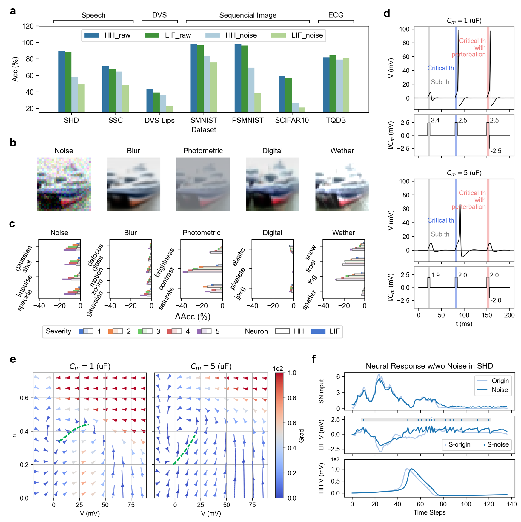 Модели нейронов Ходжкина-Хаксли (HH) демонстрируют повышенную устойчивость к шуму и превосходят модели LIF в задачах последовательного обучения и распознавания изображений CIFAR10-C, что связано с их большей мембранной емкостью, определяющей крутизну сепаратрисы и устойчивость к возмущениям входного тока.
