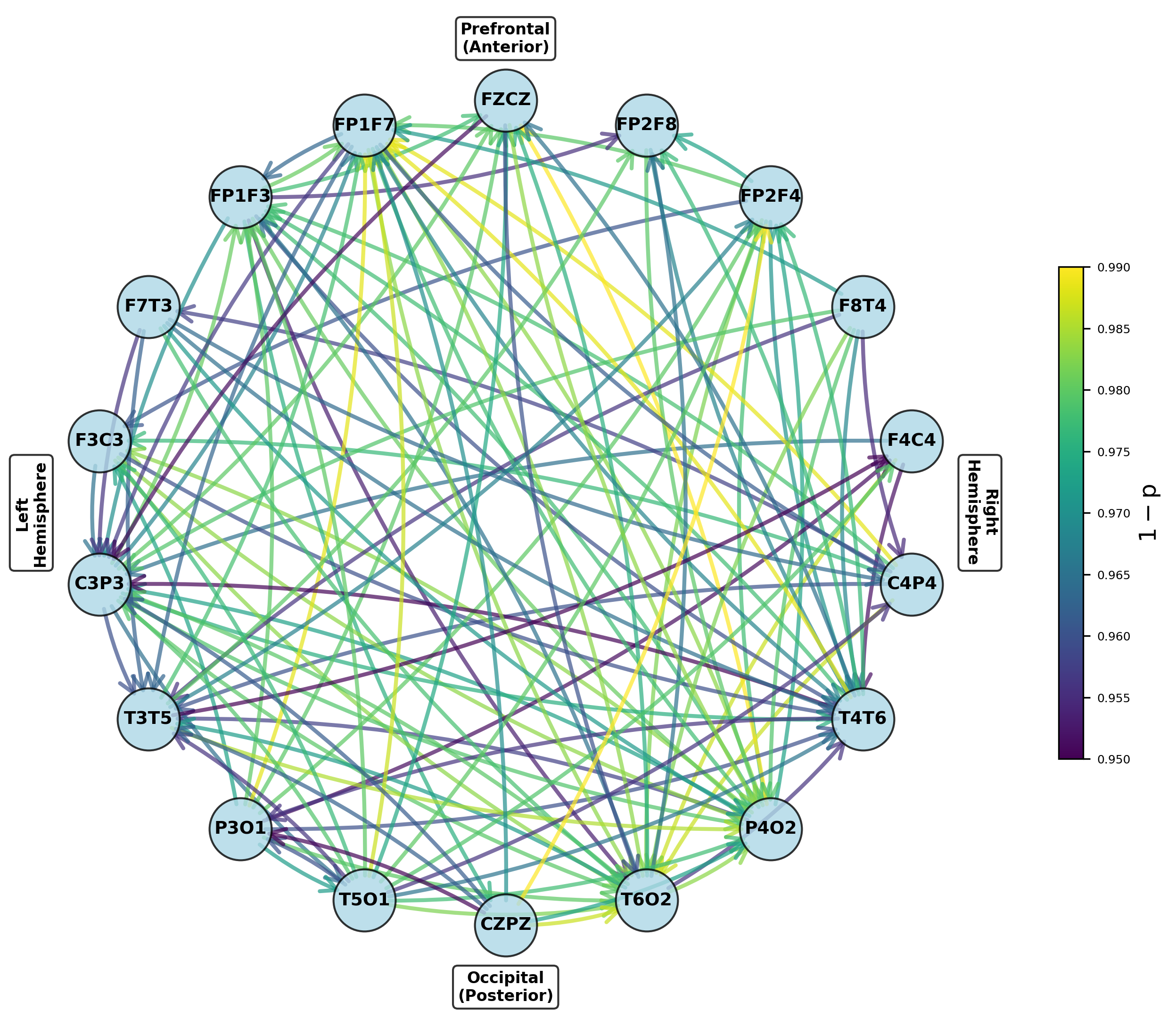 Changes in network connectivity, indicated by altered inhibitory connections and represented by solid (increased activity) and dashed (decreased activity) lines, suggest that disruptions in circuit dynamics-as quantified by metrics like <span class="katex-eq" data-katex-display="false">A^{(i|j)k}_{nq}</span>, <span class="katex-eq" data-katex-display="false">C^{(i|j)k}_{nq}</span>, and <span class="katex-eq" data-katex-display="false">v^{(i|j)k}_{0nq}</span>-may underlie conditions such as psychosis.