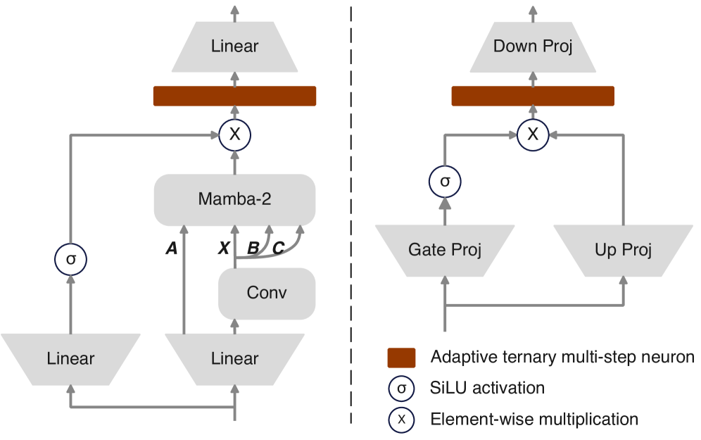 Discrete Mamba-2 integrates spikes differently than a standard Feed Forward Network, as illustrated by the contrasting mechanisms shown for the student model.