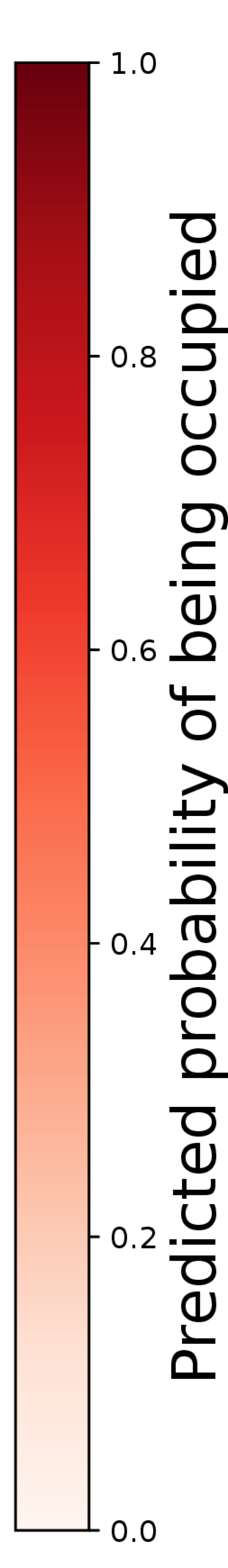 MatchInformer improves occupancy prediction by leveraging Hungarian Matching to focus uncertainty on relevant areas, avoiding the overprediction exhibited by SceneInformer when tracking both previously observed (blue) and unobserved (green) vehicles, particularly when reasoning about their dynamic states.