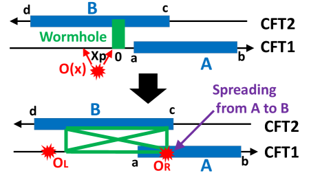 Entanglement evolution for two distinct wormhole configurations reveals that while local operators increase entanglement between subsystems <span class="katex-eq" data-katex-display="false">A</span> and <span class="katex-eq" data-katex-display="false">B</span> for the right-moving mode, the spreading effect suppresses the increase in entanglement at subsystem <span class="katex-eq" data-katex-display="false">A</span>, resulting in a negative change in mutual information <span class="katex-eq" data-katex-display="false">\\Delta I\_{AB}<0</span> and a brief positive correlation at early times <span class="katex-eq" data-katex-display="false">t<|a|+x\_{P}</span>.