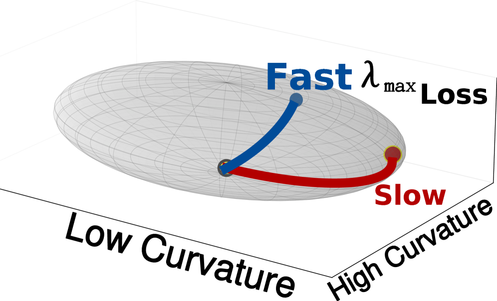 Performance degrades significantly for certain parameters due to noise amplifying along high-curvature directions, akin to how a small perturbation along the short axis of a hyper-ellipsoidal loss landscape-defined by large Hessian eigenvalues-causes a dramatic loss increase, while the same perturbation along the long axis (small eigenvalues) has minimal effect.