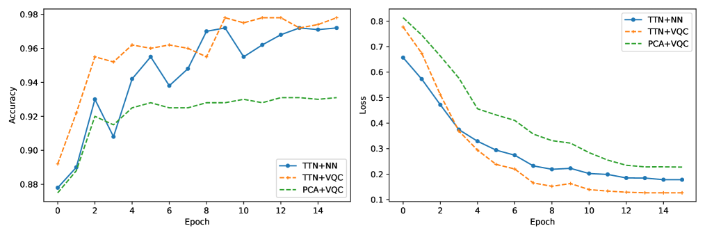Эксперименты на квантовом процессоре IBM Heron r2 показали, что гибридная модель Pre-TTN+VQC обеспечивает более высокую точность классификации и меньшую кросс-энтропию при предсказании TFBS генома, превосходя классическую модель TTN+NN и PCA+VQC, что свидетельствует о ее улучшенной обобщающей способности и устойчивости в условиях реального квантового оборудования.