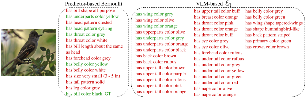 Анализ концепций для двух изображений из набора данных CUB показывает, что метод, основанный на предсказаниях Бернулли, выделяет меньше, но более точных концепций, в то время как метод, основанный на VLM и <span class="katex-eq" data-katex-display="false"> \ell_0 \ell_0 </span>, выделяет больше концепций с меньшей точностью, что подтверждается выделением зелёным цветом концепций, соответствующих истинным данным.