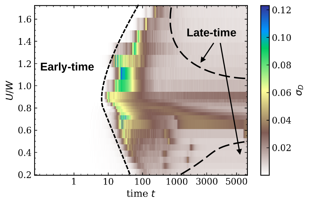 The spatial fluctuation of double occupancy <span class="katex-eq" data-katex-display="false">\sigma_{\mathcal{D}}(t)</span> transitions from homogeneous behavior at early times to inhomogeneous behavior at intermediate times as interaction strength <span class="katex-eq" data-katex-display="false">U_f/W</span> changes, as indicated by the dashed boundaries.