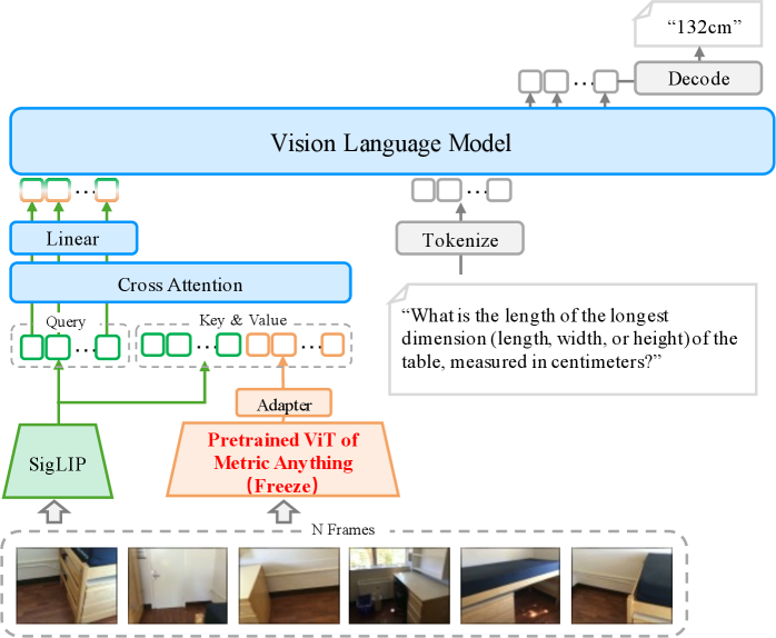 Улучшение 3D-пространственного мышления в мультимодальных больших языковых моделях (MLLM) достигается за счет использования замороженного, предварительно обученного ViT из Metric Anything в качестве визуального энкодера, что позволяет сохранить его развитое понимание пространственных отношений в процессе тонкой настройки.