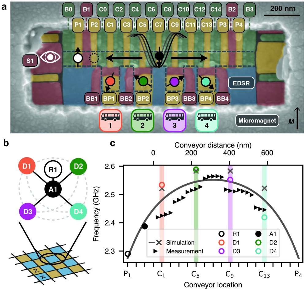 Устройство состоит из одноэлектронного транзисторного датчика, зоны считывания, шины для перемещения кубитов между четырьмя остановками и кобальтового микромагнита, создающего неоднородное магнитное поле, что позволяет реализовать связность кубитов, необходимую для формирования стабилизирующей пластинки поверхностного кода.