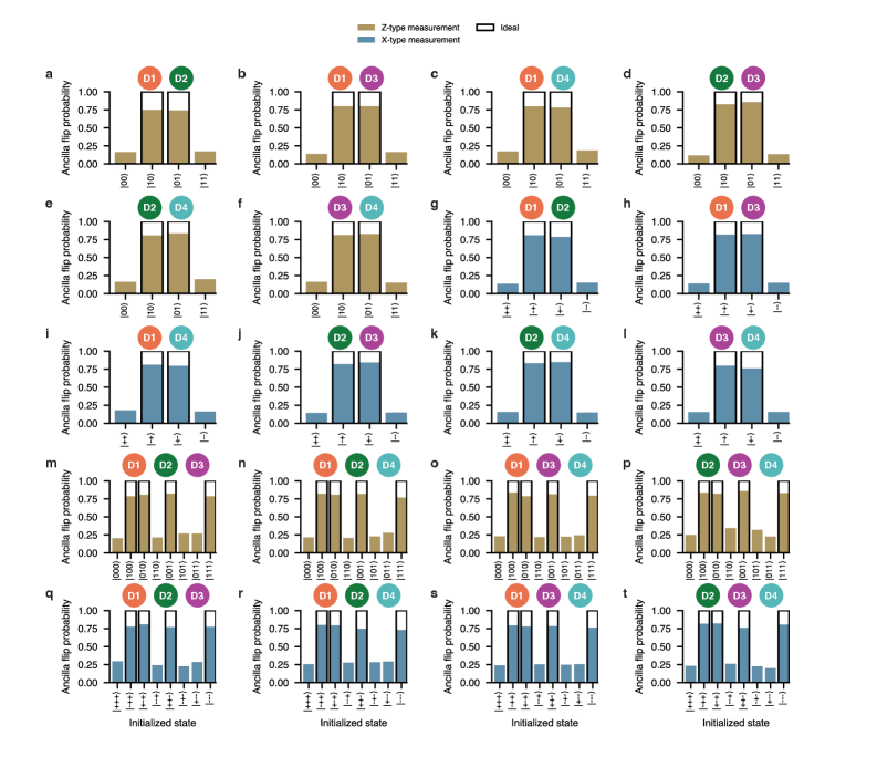 Исследование демонстрирует применение проверок чётности различных весов - от двух (<span class="katex-eq" data-katex-display="false">ZZ</span> и <span class="katex-eq" data-katex-display="false">XX</span>) до четырёх (<span class="katex-eq" data-katex-display="false">XX</span>) - для всех комбинаций кубитов данных, что позволяет оценить надежность схемы коррекции ошибок и выявить потенциальные уязвимости.