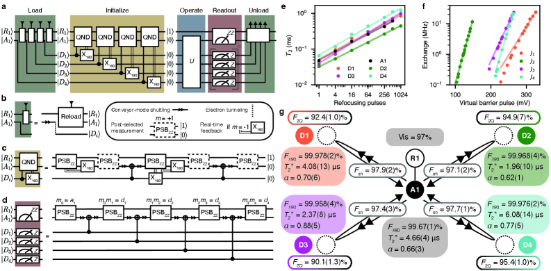 Представленная схема кванно-неразрушающих измерений (QND) и характеризации кванно-процессорного устройства (QPU) включает в себя протоколы загрузки, инициализации, измерения и выгрузки разреженных массивов, использующие перемещение вспомогательного кубита, коррекцию состояния с обратной связью и измерения в вычислительной базе, что позволяет достичь высокой когерентности <span class="katex-eq" data-katex-display="false">1/f^{\alpha}</span> и настраиваемого обмена между кубитами, подтвержденное всесторонним тестированием пятикубитного процессора.