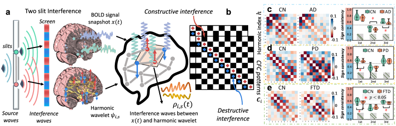 Аналогия между принципом интерференции волн и кросс-частотным связыванием (CFC) позволяет выявлять специфические для нейродегенеративных заболеваний (болезнь Альцгеймера, болезнь Паркинсона, лобно-височная деменция) паттерны интерференции, демонстрируемые на данных ADNI, PPMI и NIFD и подтвержденные статистически значимыми различиями (p<0.05).