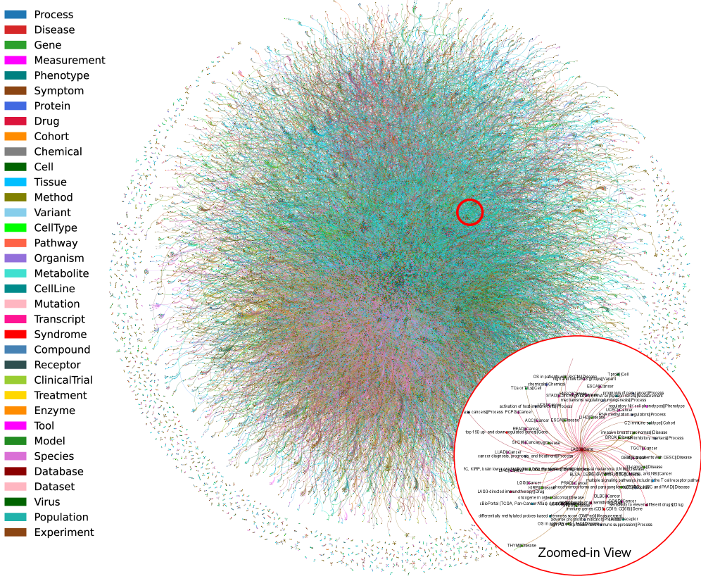 This expert-curated biomedical knowledge graph, comprised of nodes representing entities like genes and diseases connected by semantic relationships, supports hypothesis generation in computational pathology through dense, multi-scale connectivity exemplified by a subgraph focused on bladder cancer.