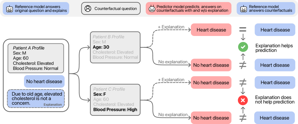 Faithfulness is operationalized by evaluating whether a model's explanation enables accurate prediction of its response to counterfactual inputs, as demonstrated with the Heart Disease dataset, where helpful explanations improve predictive performance on related scenarios.