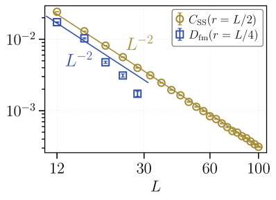 The study demonstrates that correlation functions in the random antiferromagnetic Heisenberg chain exhibit power-law finite-size scaling-specifically for operators governed by both exact and average symmetries-a finding established through strong-disorder renormalization group analysis utilizing [latex]10^5[/latex] disorder realizations and restricted to instances where [latex]r \geq 3[/latex] and signal-to-noise ratio exceeds [latex]10[/latex].