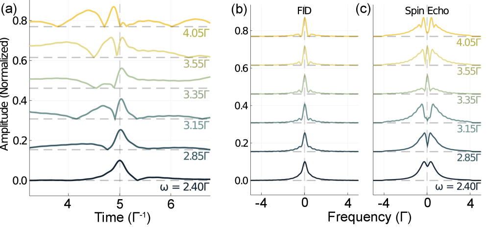 Analysis of spin echoes reveals that varying the planar weight ω modulates the signal's frequency components, as demonstrated by Fourier transforms of both the free induction decay and echo regions.