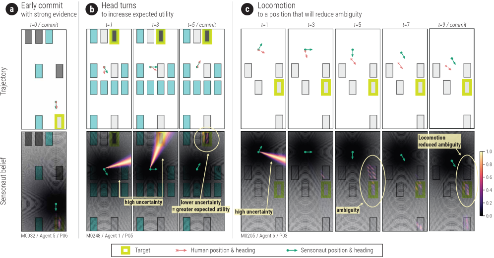 Алгоритм Sensonaut демонстрирует стратегии поиска, имитирующие поведение человека, включая немедную фиксацию при сильных доказательствах, последовательные повороты головы для снижения неопределенности и перемещение в позицию для получения четкого разграничения между объектами, что позволяет эффективно разрешать неоднозначность.