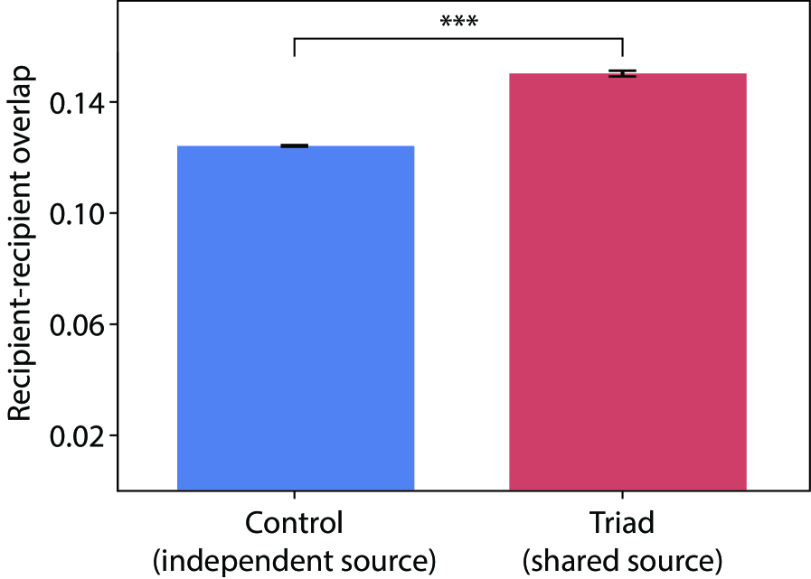 Recipients demonstrate significantly increased semantic overlap after shared inspiration [latex]p < 0.001[/latex], suggesting heightened redundancy in their exploratory processes.