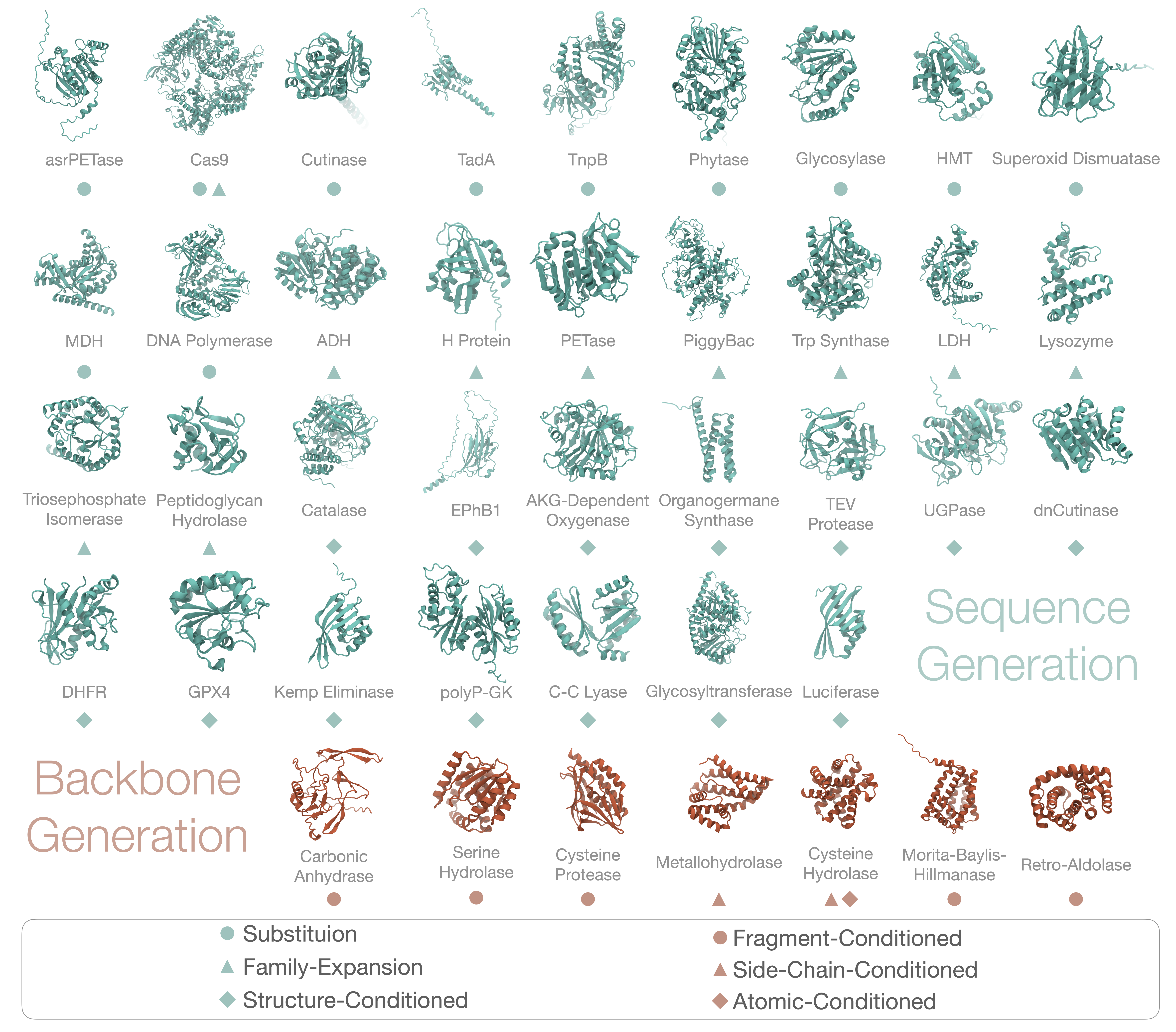 Generative AI successfully designed functional enzyme structures-including Alcohol Dehydrogenase (ADH), Dihydrofolate Reductase (DHFR), Halide Methyltransferase (HMT), Lactate Dehydrogenase (LDH), and Malate Dehydrogenase (MDH)-as determined by structures retrieved from publications, the AlphaFold database, or predicted with ESMFold.