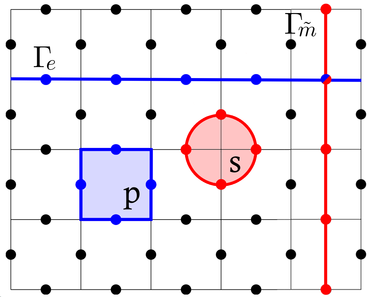 The toric code exposes interwoven electric and magnetic degrees of freedom, hinting at the inherent fragility of any attempt to impose order on a fundamentally relational system.