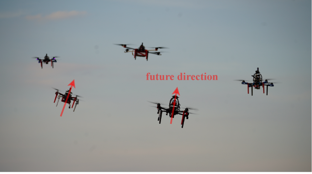 Both bird flocks and multirotor drones utilize anticipatory cues - body language in birds and attitude tilting in drones - to signal impending movements, enabling coordinated and predictable collective behavior.
