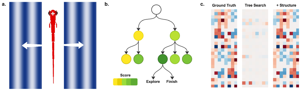 Despite achieving high predictive accuracy on observed neural activity, unconstrained model exploration failed to uncover the underlying mechanisms of a simulated neuromechanical system, while a structure-constrained search - guided by prior knowledge of potential connections - successfully identified the correct signs and magnitudes of interactions within the neural circuit, demonstrating that mechanistic discovery requires incorporating structural priors beyond mere predictive performance-even when working with <span class="katex-eq" data-katex-display="false">in\thinspace silico</span> testbeds.