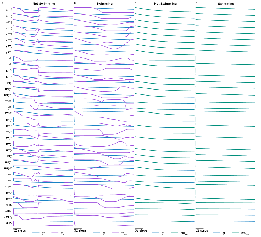 The discovered model <span class="katex-eq" data-katex-display="false">sts445</span> (green) accurately replicates the distinct decay profiles of swimming versus resting dynamics, unlike <span class="katex-eq" data-katex-display="false">ts422</span> (purple) which exhibits erroneous oscillations when initialized to a saturated state, as demonstrated by comparing its response to the ground truth (blue).