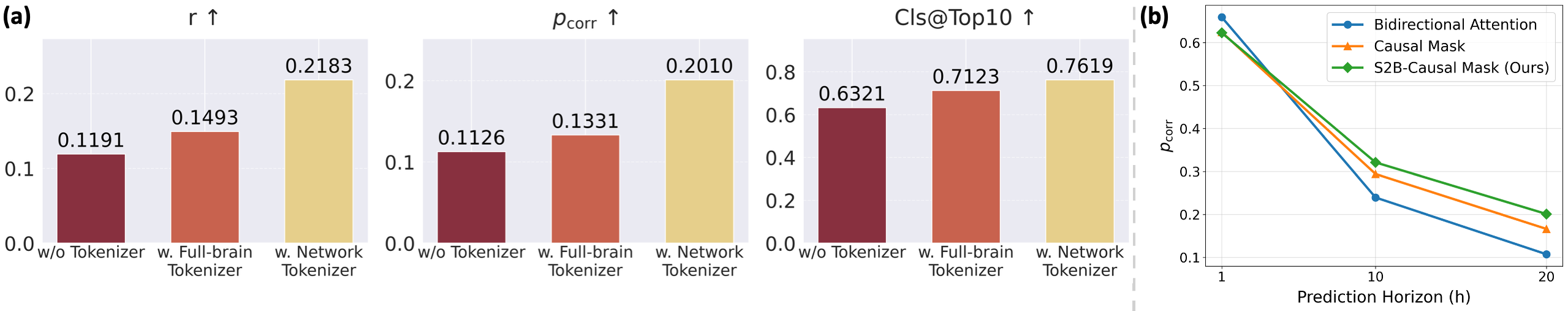 Исследования на наборе данных Algonauts 2025 показали, что использование сетевых токенизаторов и S2B-каузального внимания значительно повышает точность прогнозирования <span class="katex-eq" data-katex-display="false">pcorr_{\mathrm{corr}}</span> на временных горизонтах <span class="katex-eq" data-katex-display="false">H \in {1, 10, 20}</span> по сравнению с непрерывными данными фМРТ и другими подходами к токенизации и каузальности.
