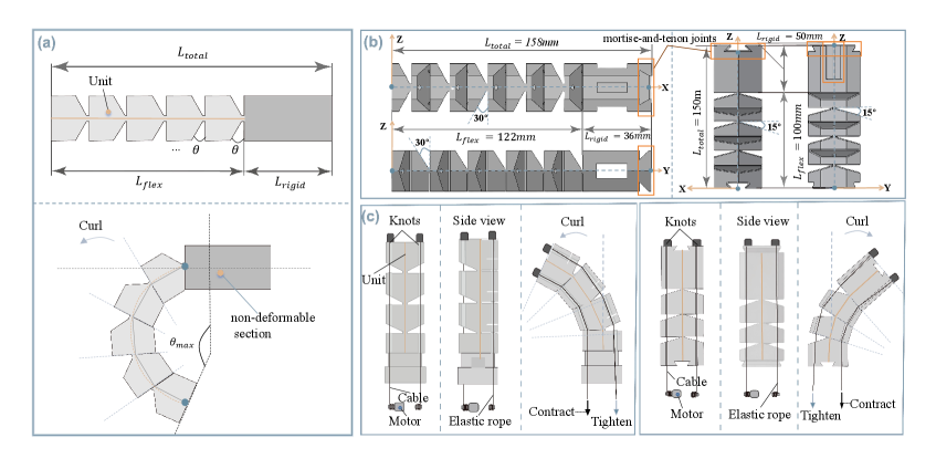 This continuum robot design utilizes modular, deformable sections, base-mounted actuation with cables, and elastic restoring forces to achieve controlled planar motion and adjustable bending ranges.