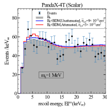 Моделирование показывает, что учет эффектов затухания существенно снижает ожидаемую частоту отдачи в детекторе PandaX-4T для первичных черных дыр с массой <span class="katex-eq" data-katex-display="false">10^{15} </span> грамм и долей <span class="katex-eq" data-katex-display="false">3.9 \times 10^{-7}</span>, при различных типах взаимодействий (постоянном, векторном и скалярном).