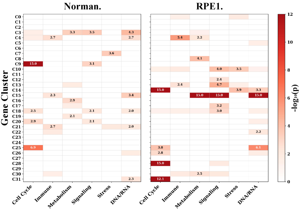 Functional enrichment analysis reveals that gene clusters in the GRC exhibit consistent biological functions across both datasets.