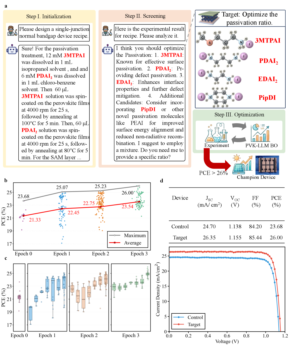 Perovskite solar cell performance was significantly improved to a peak power conversion efficiency (PCE) of 26.00% through an iterative, human-in-the-loop optimization process guided by PVK-LLM, as demonstrated by the upward trend in PCE distributions across experimental epochs and the superior current density-voltage characteristics of the optimized device compared to controls.