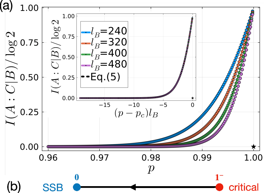 The study demonstrates that conditional mutual information [latex]I(l|l_B,p)[/latex] collapses onto a universal scaling function [latex]f[(p-p_c)l_B^{1/\nu}][/latex] with critical exponent [latex]\nu=1[/latex] and critical point [latex]p_c=1[/latex], indicating a robust phase transition governed by the system’s parameters and reflected in the corresponding renormalization group flow.