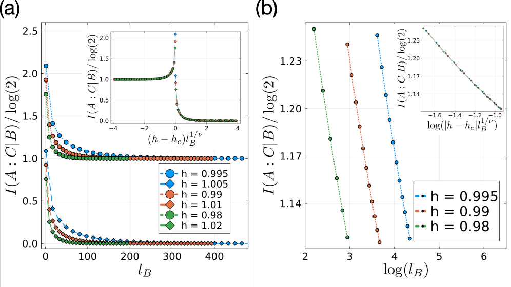 The conditional mutual information (CMI) of the transverse-field Ising model scales with field <span class="katex-eq" data-katex-display="false">l_B</span> and exhibits a data collapse when plotted against <span class="katex-eq" data-katex-display="false">(h-h_c)l_B^{1/
u}</span> with critical field <span class="katex-eq" data-katex-display="false">h_c = 1</span> and exponent <span class="katex-eq" data-katex-display="false">
u = 1</span>, demonstrating a critical scaling behavior for <span class="katex-eq" data-katex-display="false">h < h_c</span>.