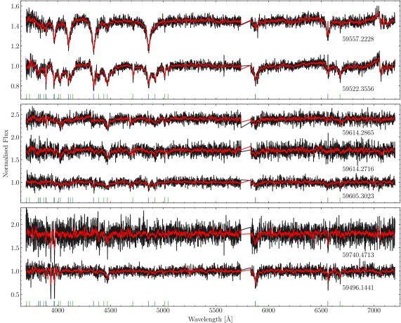 Normalized single-epoch spectra reveal the inhomogeneous surface compositions of newly identified white dwarfs (WDJ022228.39+283007.72, WDJ091748.20+001041.72, and WDJ213146.85+025518.46), displaying reduced spectra in black and smoothed flux in red alongside vertical indicators for hydrogen and helium I lines.