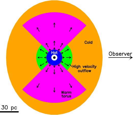 Модель источника представляет собой осесимметричную структуру, состоящую из компактного расширяющегося ядра <span class="katex-eq" data-katex-display="false">HCH_C</span> (синий, внешняя поверхность - фотосфера диаметром 6 мкм), окруженного расширяющейся оболочкой с потоком около <span class="katex-eq" data-katex-display="false">-{400}</span> км/с (зеленый), кольцевидного потока <span class="katex-eq" data-katex-display="false">WCW_C</span> (пурпурный), также расширяющегося, и погруженного в расширенный холодный компонент <span class="katex-eq" data-katex-display="false">CCC_C</span> (оранжевый).