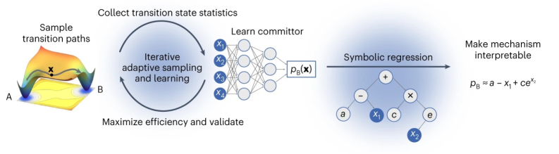 AIMMD iteratively trains a neural network with transition path sampling to predict a committor function, which is then expressed in terms of the system's physical collective variables via symbolic regression.