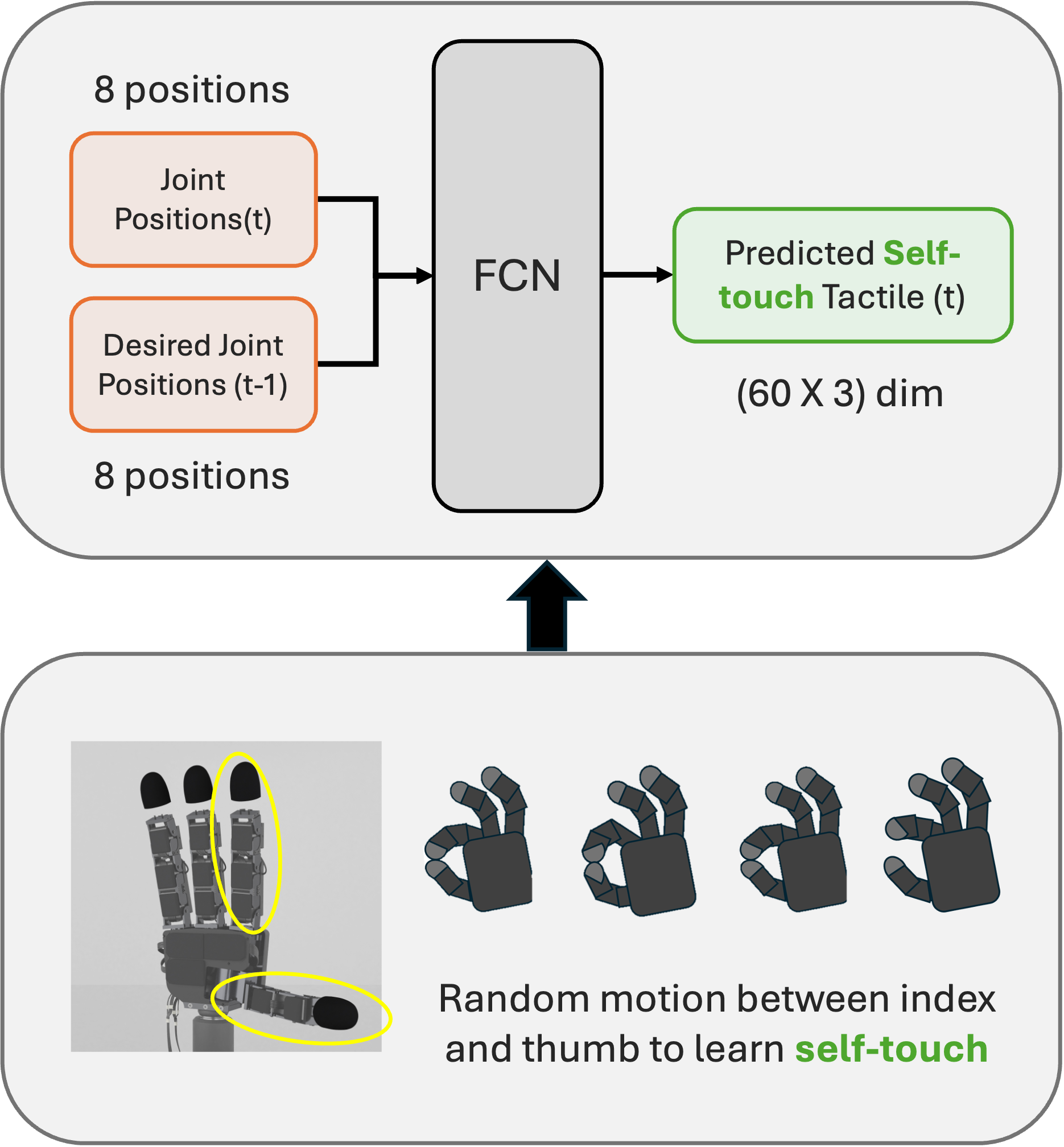 Фаза обучения посредством самоприкосновений использует данные о положении суставов и тактильные сигналы для обучения робота.