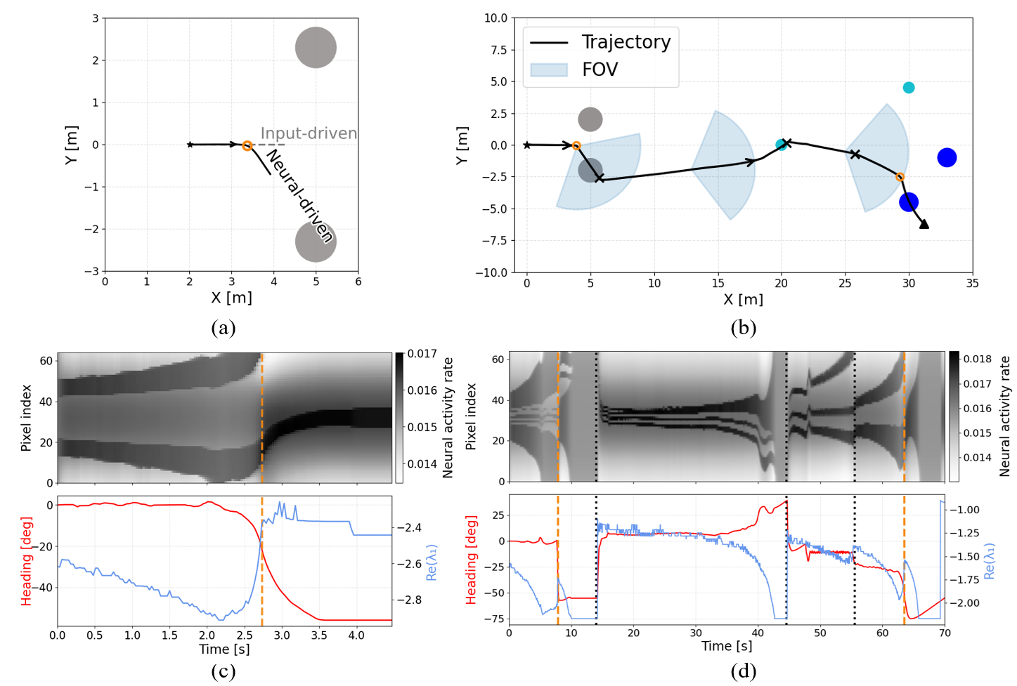 Нейроуправляемая навигация с использованием смоделированных визуальных данных (<span class="katex-eq" data-katex-display="false">FOV = 110^{\circ}</span>, <span class="katex-eq" data-katex-display="false">k = 64</span>) демонстрирует возможность выбора цели на основе как внутренних нейронных динамик (определяемых моментом разрыва симметрии и отраженных в активности нейронной сети и изменении угла поворота), так и непосредственного визуального ввода, что подтверждается анализом эволюции активности нейронной сети и спектра собственных значений якобиана.
