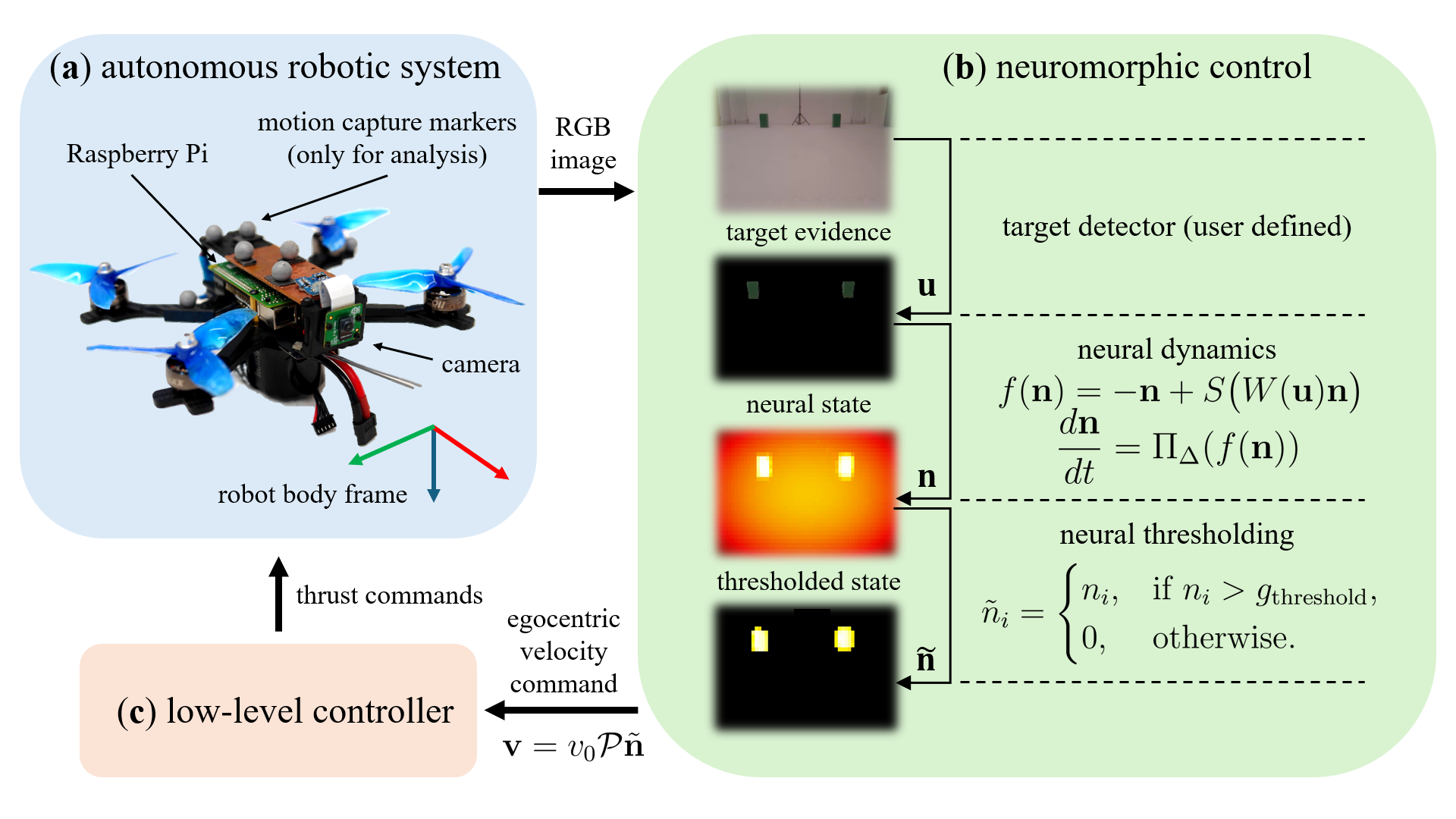 В разработанной системе автономного управления квадрокоптером, оснащенным RGB-камерой и Raspberry Pi, обработка визуальной информации посредством нейроморфного контроллера позволяет извлекать релевантные признаки из изображения, преобразуя их в значения, моделирующие силу признака, и, используя эти данные в качестве входных для нейронной динамики, формировать команды скорости в системе координат робота на основе предпочтений по пространственным направлениям, активность которых превышает заданный порог, что, в конечном итоге, определяет траекторию движения.