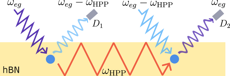 Embedded within a hexagonal boron nitride slab, two color centers facilitate the resonant excitation of a polariton source, launching a propagating polariton at frequency [latex]\omega_{HPP}[/latex]; detection of emission from a downstream color center-triggered only when supplied with the missing energy from the arriving polariton-and subsequent time-correlation with the source’s initial emission demonstrates the single-polariton nature of the launched wave and confirms antibunching behavior.