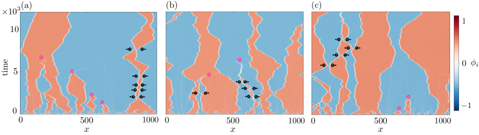 The dynamics of charge density wave (CDW) domain walls-visualized through their trajectories and interactions-reveal a coarsening process limited by kink annihilation (magenta crosses) and scattering events (black circles with arrows), demonstrating a reaction-limited regime.