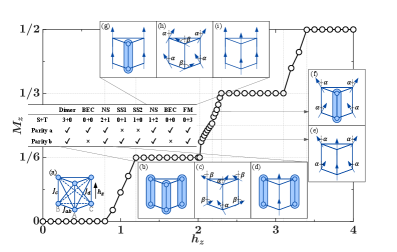 The magnetization of the bilayer TLXXZ model varies with <span class="katex-eq" data-katex-display="false">h_z</span>, exhibiting distinct spin configurations-detailed in the insets and summarized by singlet (S) and triplet (T) counts-that indicate preservation or breaking of parities a and b.
