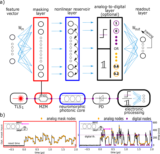 Схема реализует аналого-цифровые вычисления с помощью фотонных и электронных компонентов, где маскирующий слой (красный) кодируется с помощью модулятора Маха-Цендера, состояние резервуара (синий) формируется в динамической эволюции нейроморфного ядра SCISSOR, а выходной слой (черный) обрабатывается электроникой, при этом оптический входной сигнал, представляющий узлы маскирующего слоя, преобразуется в аналоговые (желтый) или цифровые (фиолетовый) сигналы с использованием произвольного цифрового порога (th).